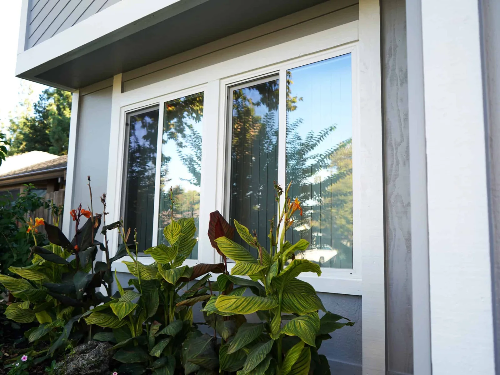 New white sliding windows set in a sided house wall, window replacement